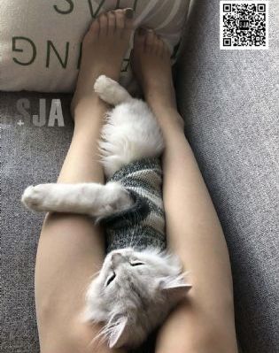 性激烈欧美三级在线播放狩猎_1080免费播放
